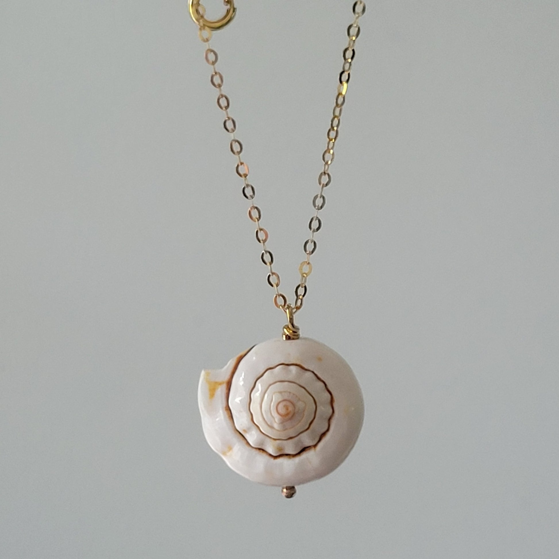 Unique Shell Drop Necklace - Sterling, Gold, or Rose Gold
