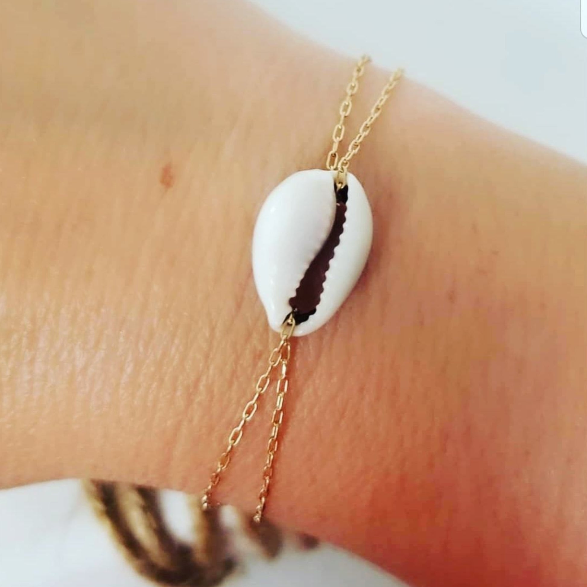 Conch Shell Chain Bracelet - Sterling, Gold, or Rose Gold