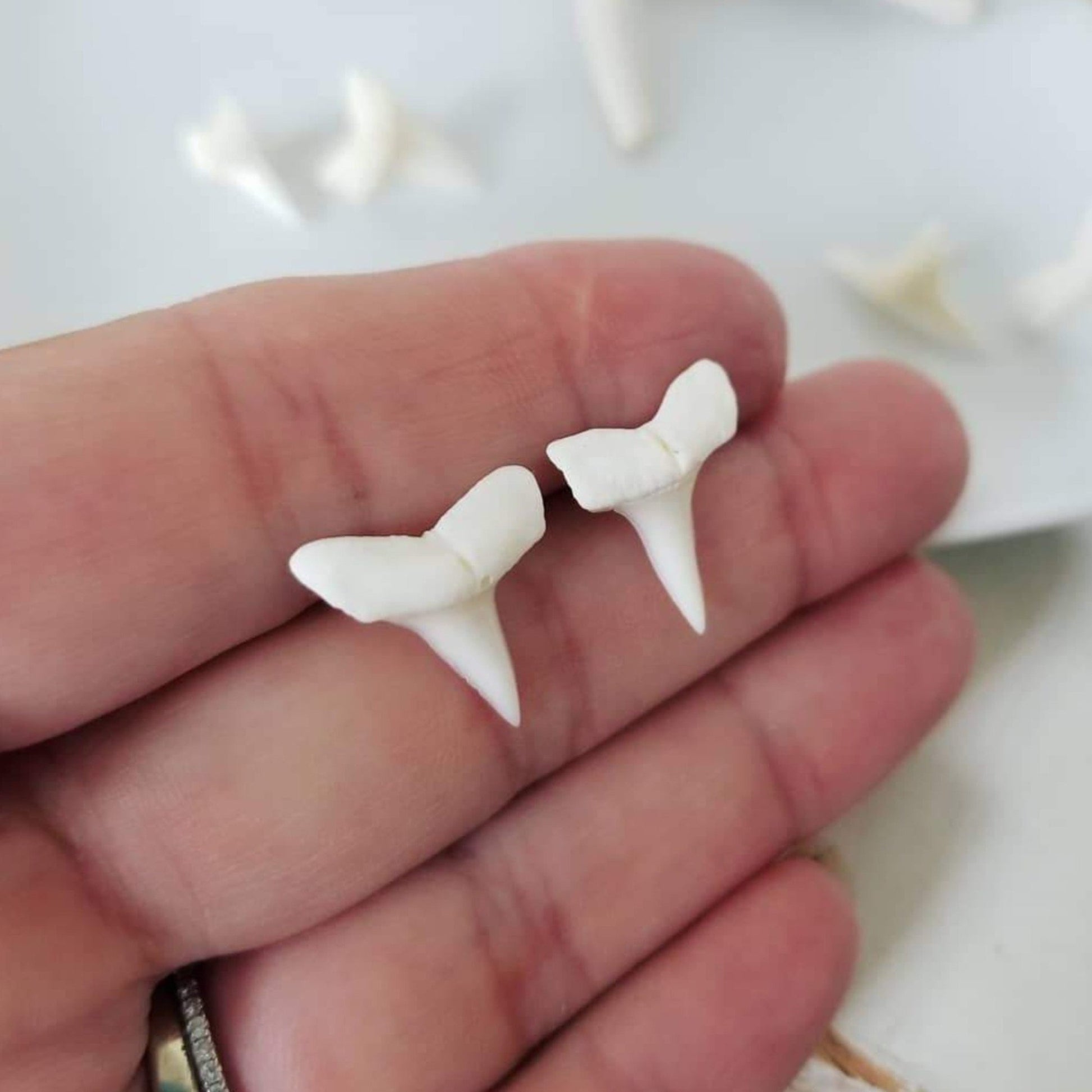 Real Shark Tooth Stud Earrings - Sterling Silver